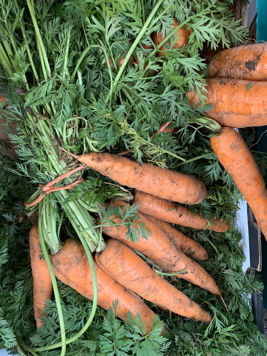 InnsCrossMarket's tweet photo. Who’s ready for some #farmfresh vegetables? It seems to have been a while. 

Fresh food shop time at #innscrossmarket this Saturday, 10am-2pm. https://t.co/ELT0lqOVDJ