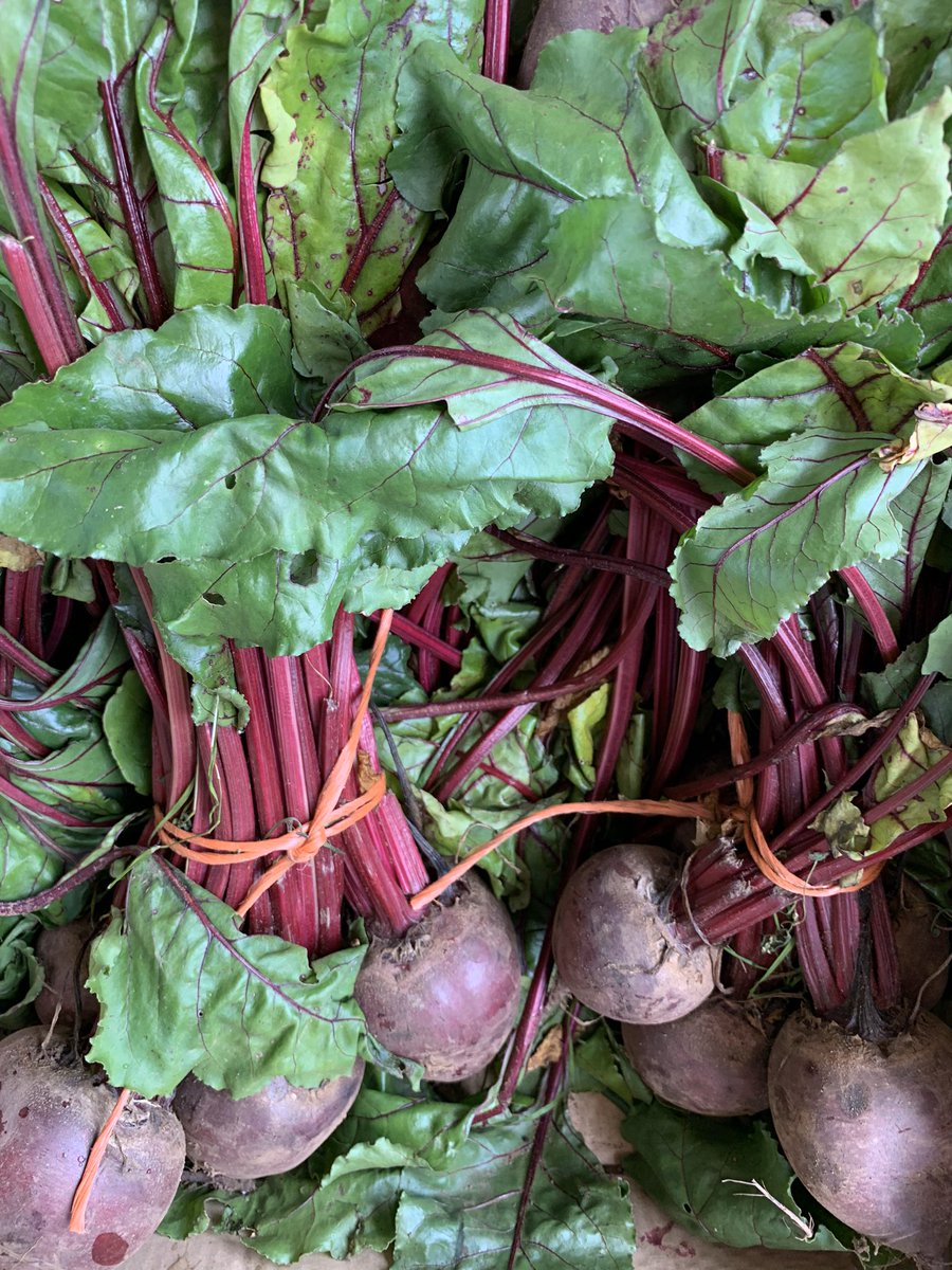 InnsCrossMarket's tweet photo. Who’s ready for some #farmfresh vegetables? It seems to have been a while. 

Fresh food shop time at #innscrossmarket this Saturday, 10am-2pm. https://t.co/ELT0lqOVDJ