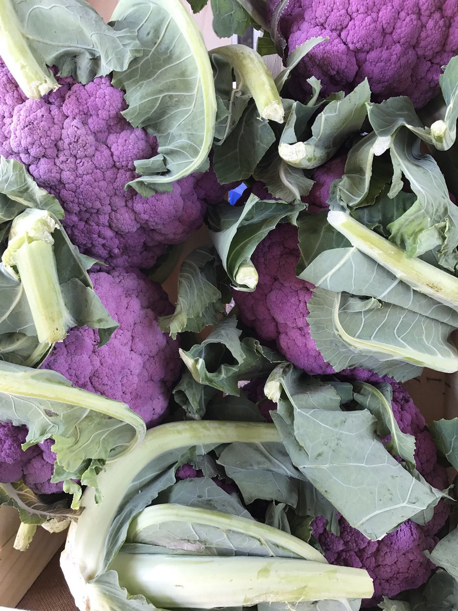InnsCrossMarket's tweet photo. Who’s ready for some #farmfresh vegetables? It seems to have been a while. 

Fresh food shop time at #innscrossmarket this Saturday, 10am-2pm. https://t.co/ELT0lqOVDJ
