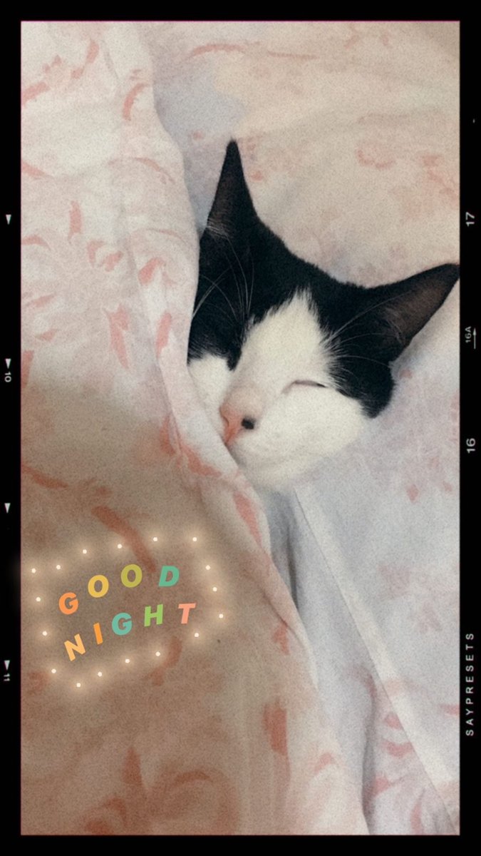 Dünyanın en güzel erkeğine sahibim💕