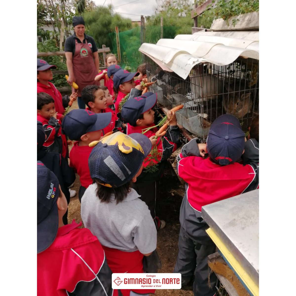 gimnorte's tweet photo. ¡PreJardín Aprendiendo del Medio Ambiente!

Nuestros más pequeños disfrutaron de esta salida pedagógica para iniciar la unidad de indagación "¿Cómo Funciona el Mundo?", teniendo muy en cuenta la importancia de la naturaleza en la vida de todos. https://t.co/vZs13sZh5k