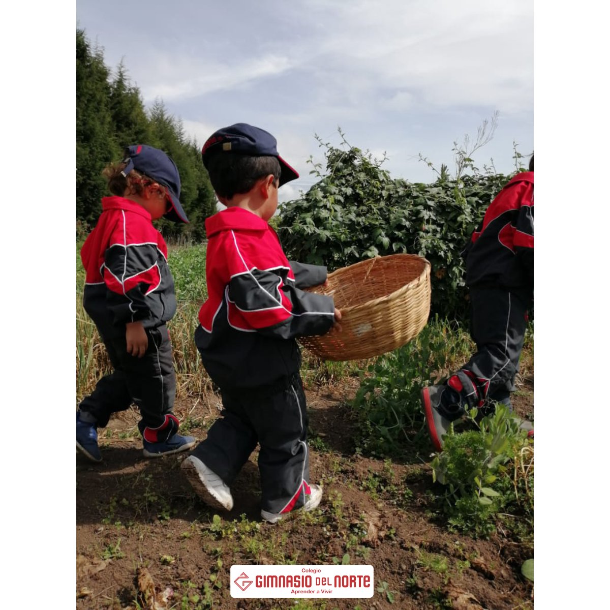 gimnorte's tweet photo. ¡PreJardín Aprendiendo del Medio Ambiente!

Nuestros más pequeños disfrutaron de esta salida pedagógica para iniciar la unidad de indagación "¿Cómo Funciona el Mundo?", teniendo muy en cuenta la importancia de la naturaleza en la vida de todos. https://t.co/vZs13sZh5k