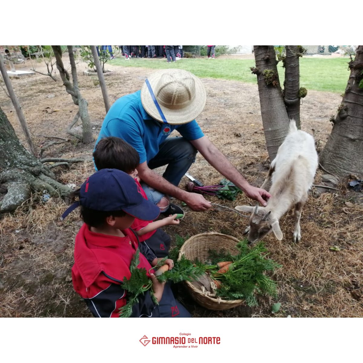 gimnorte's tweet photo. ¡PreJardín Aprendiendo del Medio Ambiente!

Nuestros más pequeños disfrutaron de esta salida pedagógica para iniciar la unidad de indagación "¿Cómo Funciona el Mundo?", teniendo muy en cuenta la importancia de la naturaleza en la vida de todos. https://t.co/vZs13sZh5k