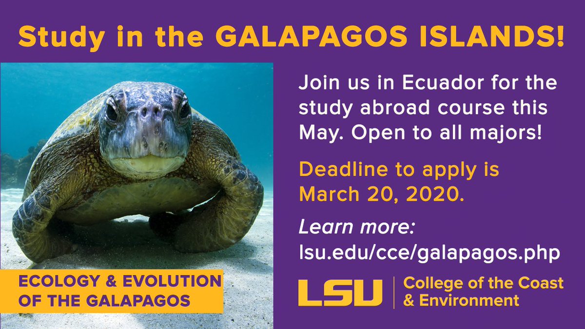 Info session tomorrow! All majors welcome on a 25-day program in the Galapagos this May! Connect with us Wed. 2/05/20 at 6:00 PM in the 1st floor Exhibit Hall of Foster or email dholstein@lsu.edu. This includes Ecology of the Galapagos Islands (OCS 4007) &amp; Evolution (BIOL 3040).