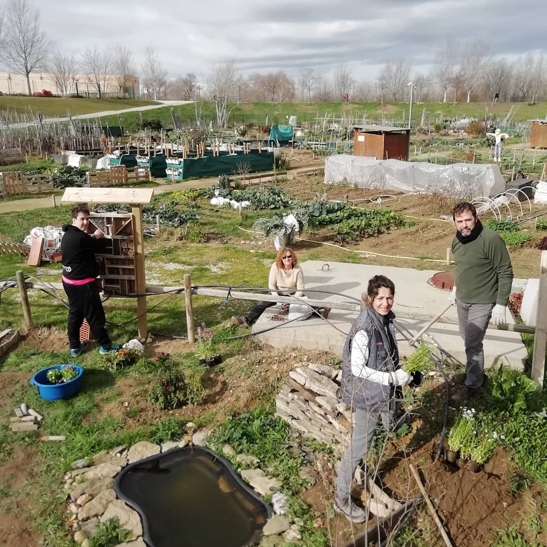 fondonatural's tweet photo. Mañana primaveral de #voluntariado en la #Minireserva. Hemos construido jardineras con bordura y plantado más #flores para los #insectos #polinizadores. #hortals #zaragozanatural #parquedelagua #AragonVoluntari #educaciónambiental #educaragon #greengym @TCVtweets @xercessociety https://t.co/Mlhlwj2Yn1