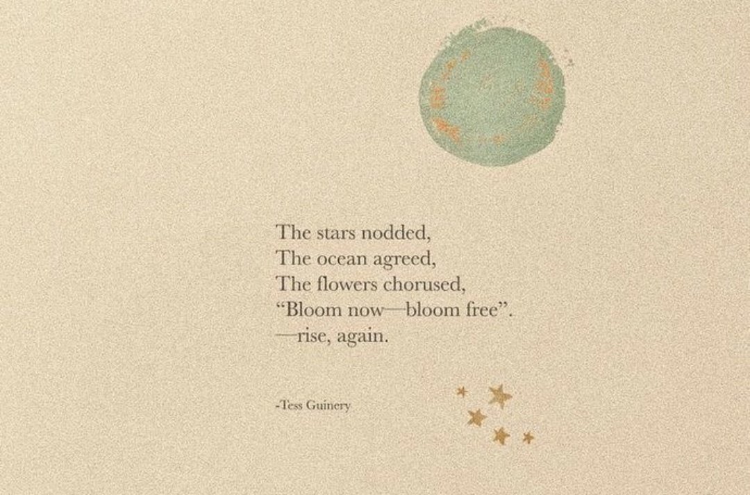 ➴Mᴇᴇʀᴀ R̶ᴇ̶ᴇ̶ᴅ➶ [ Hospital ] (@rxvenblood) on Twitter photo 