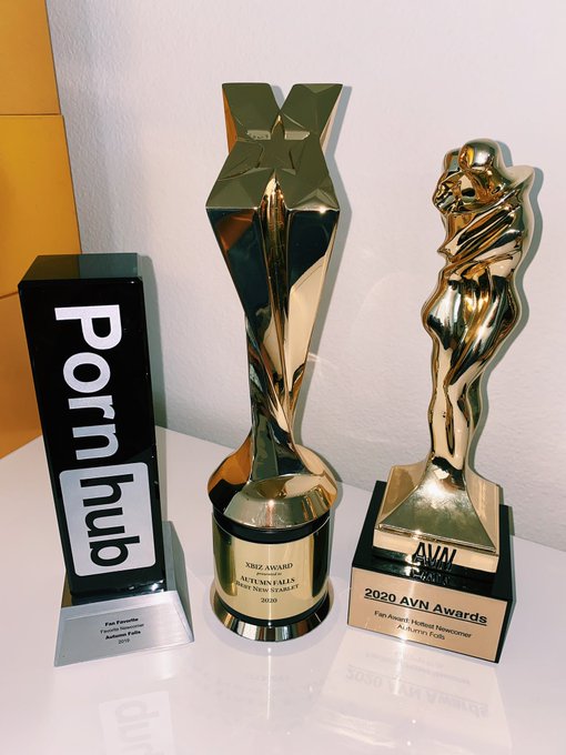 So thankful for the awards that I received this year thank you so much to everyone that has supported<a href="/tag/bikinibabes22"class="tags"><span>#bikinibabes22</span></a>