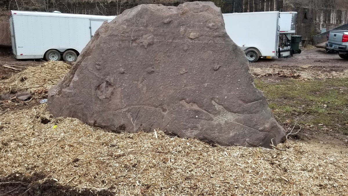 Deansoucy1's tweet photo. Made a new display for our dinosaur prints today. #brownstone #quarryview #portland https://t.co/y9yQA1vNiv
