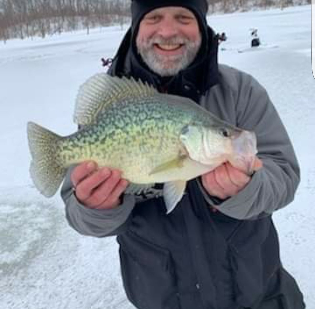 MuscatineIA's tweet image. Muscatine Man, Nate Brown, does it again! Check out this monster crappie! 16 3/4" @iowadnr #ItWasThisBig #IowaFish