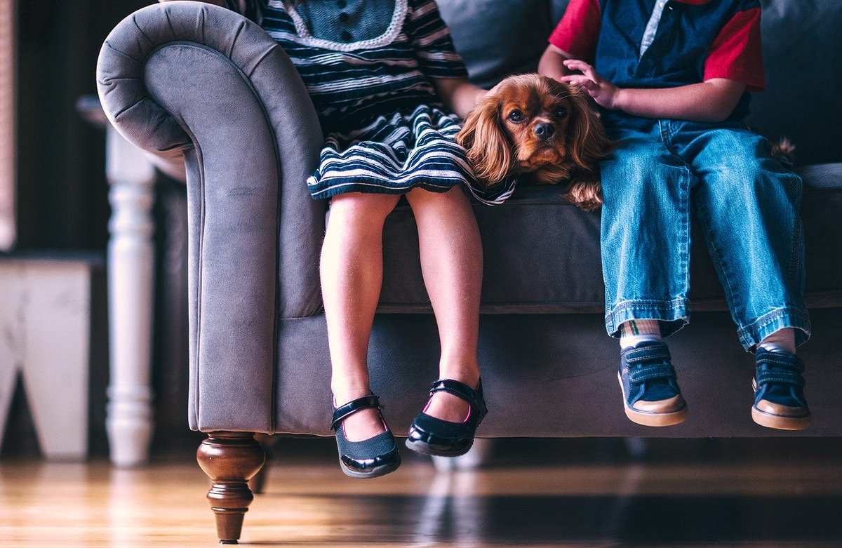 nostuffylawyers's tweet photo. The @ICOnews has issued a Code of Practice to protect children’s privacy online. >>> https://t.co/VF7a6wB3fX #DataPrivacyDay2020 #dataprivacy #DataProtectionDay2020 #DataProtectionDay #DataPrivacyDay #children #kids #online https://t.co/zUz5G2BXkO