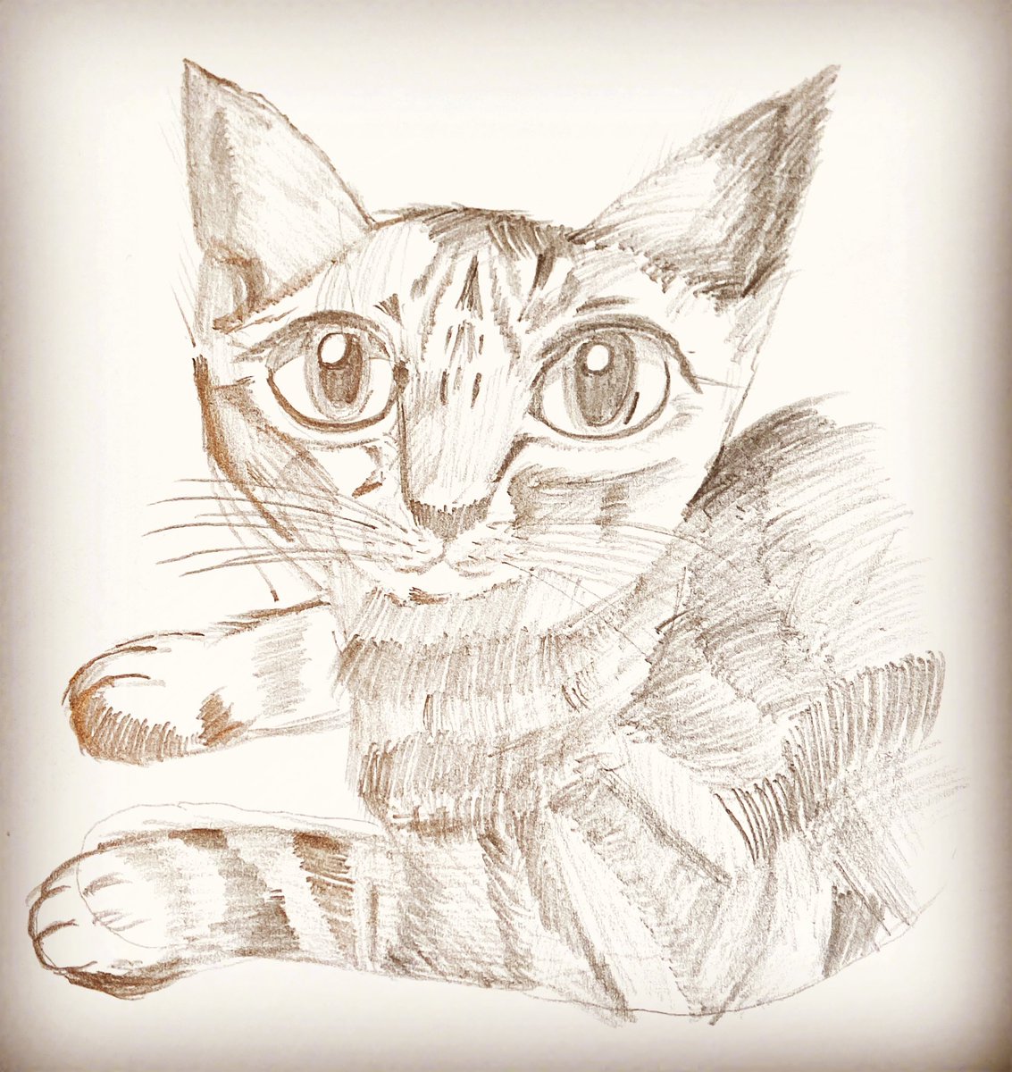 ねもとおさむ 絵を描いています 素描で猫を描いてみたが リアルさに欠ける 猫チュードク展はリアルかイラストか 悩むところだ Boji Gallery 猫チュードク展 リアルな猫 猫 ネコ ねこ 絵描きさんと繋がりたい イラスト好きと繋がりたい 猫