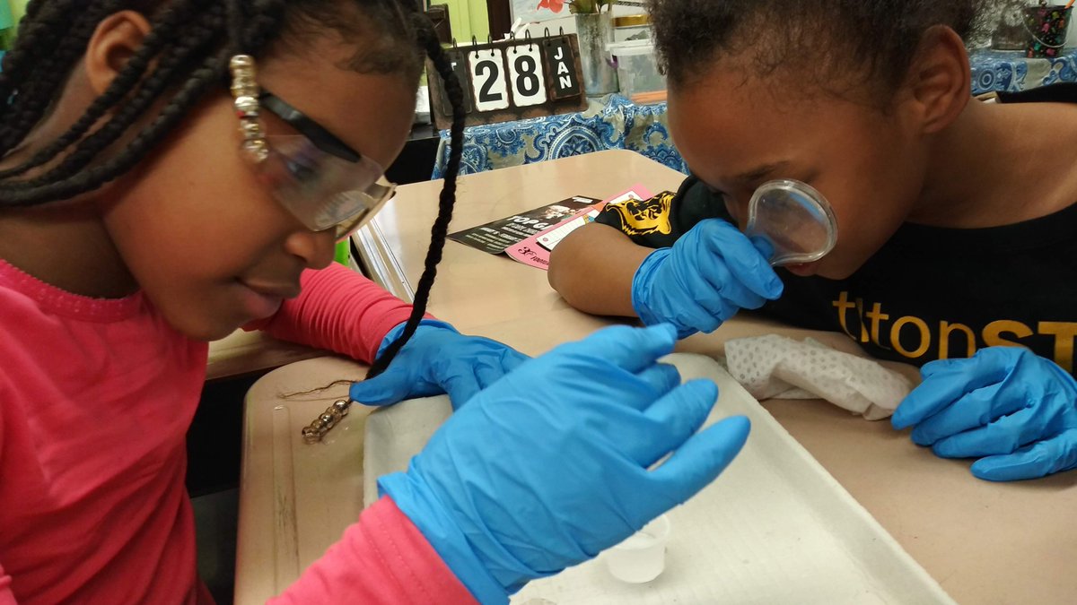 Thomas Sherlock tweet media