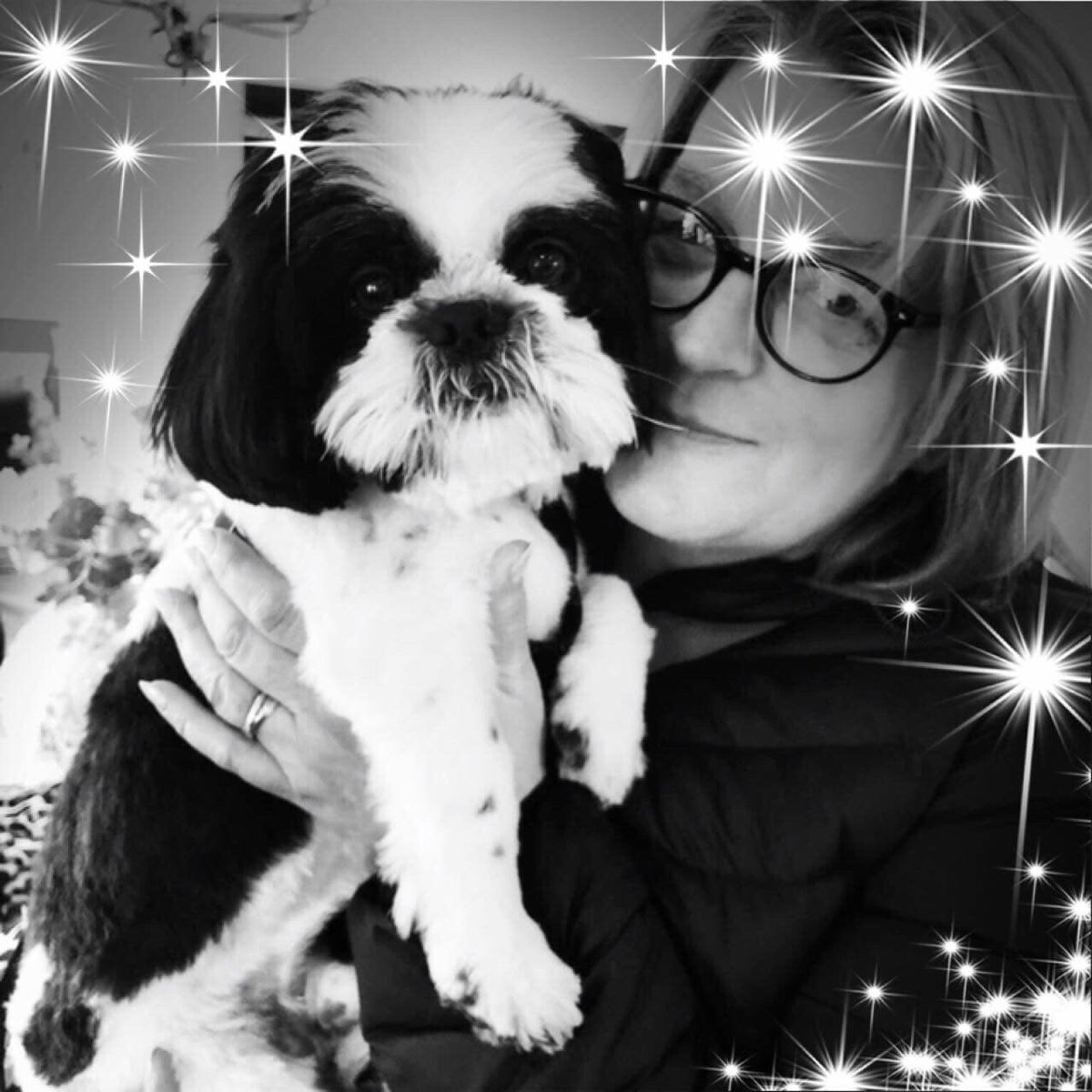 fionamarshall88's tweet photo. Happy 2nd birthday  Freddie the main man in my life #freddiebear https://t.co/y1i4VPvVdB