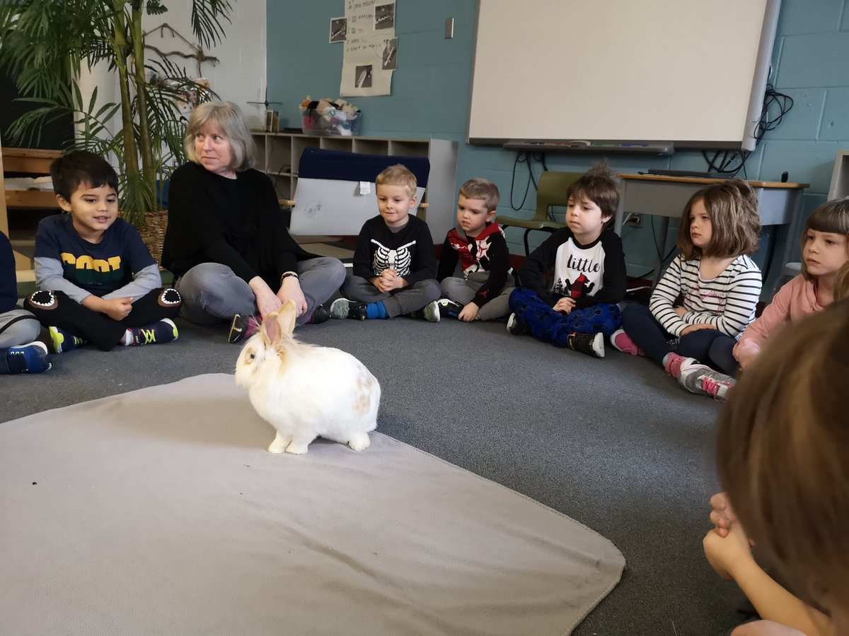 Mister_McLean's tweet photo. This morning we were lucky enough to join our friends from the DE classroom when the Experimental Farm brought in some more animal friends to learn about! This time we learned about rabbits! π @OLPeaceOCSB #NatureIsAClassroom #CoolestStartOfDay https://t.co/Ox4riypYly