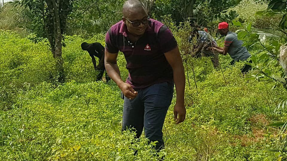 Toulayetata's tweet photo. C’est extrêmement pénible de voir 35 hectares de plantation, d’acajou, des années de dure labeur, de sacrifice, partir en fumée sous un regard impuissant!

Peu importe l’origine du feu, Dieu est grand et tu vas t’en sortir @MALADODIPLOMATE ! Courage bro!

#Guinée #Kibaro #team224 https://t.co/Z7ARgc9LO1