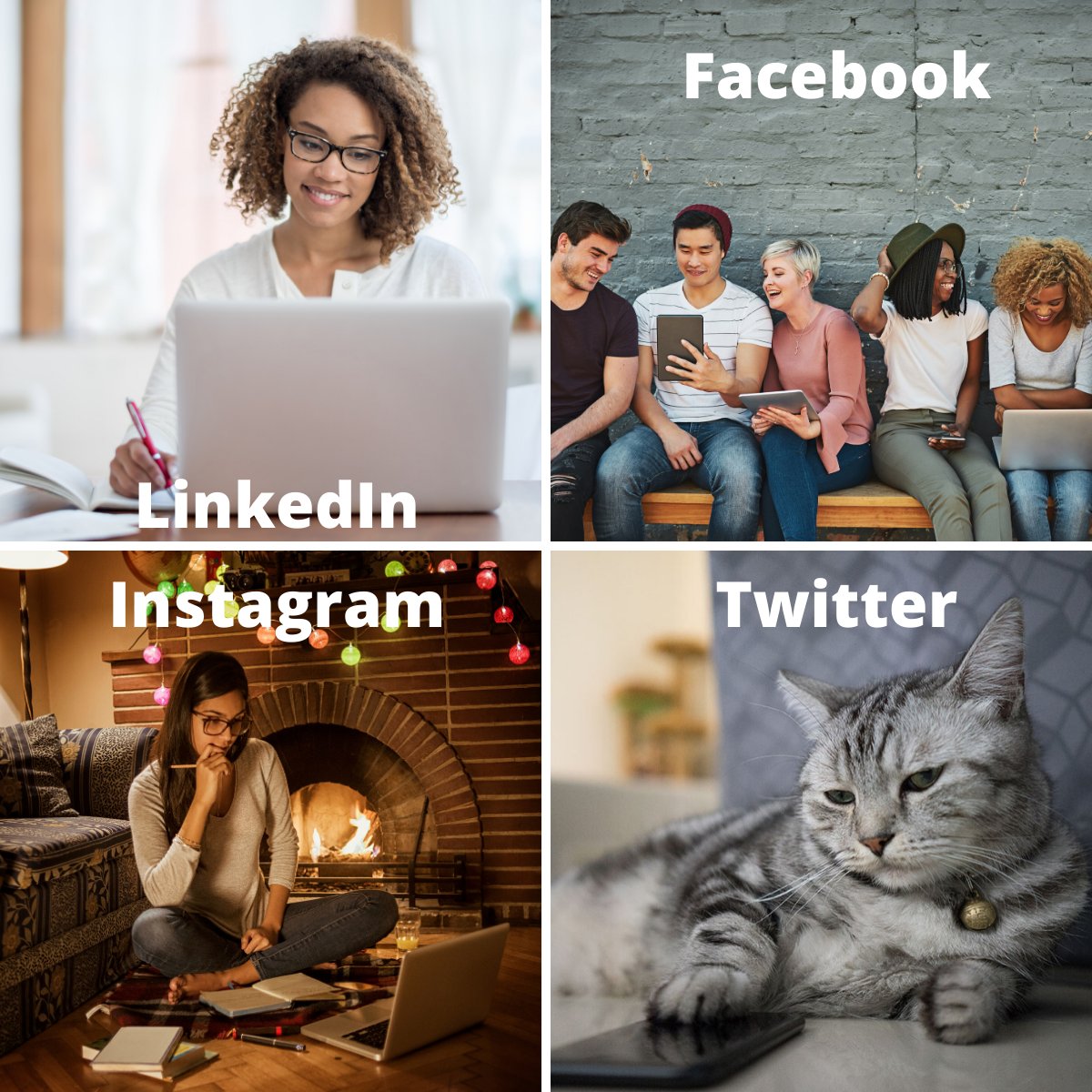 UFDistanceLearn's tweet photo. 😅Couldn't help it, #DollyPartonChallenge for Distance Learning.
#DistanceGators #GotheDistance #UF #GoGators #Dollypartonmemechallenge #dollypartonmeme #meme #challenge #cats #tonguesouttuesday #catsontwitter #catmemes #college #onlinelearning #studying #memechallenge #memes https://t.co/MxmEjL8VBs