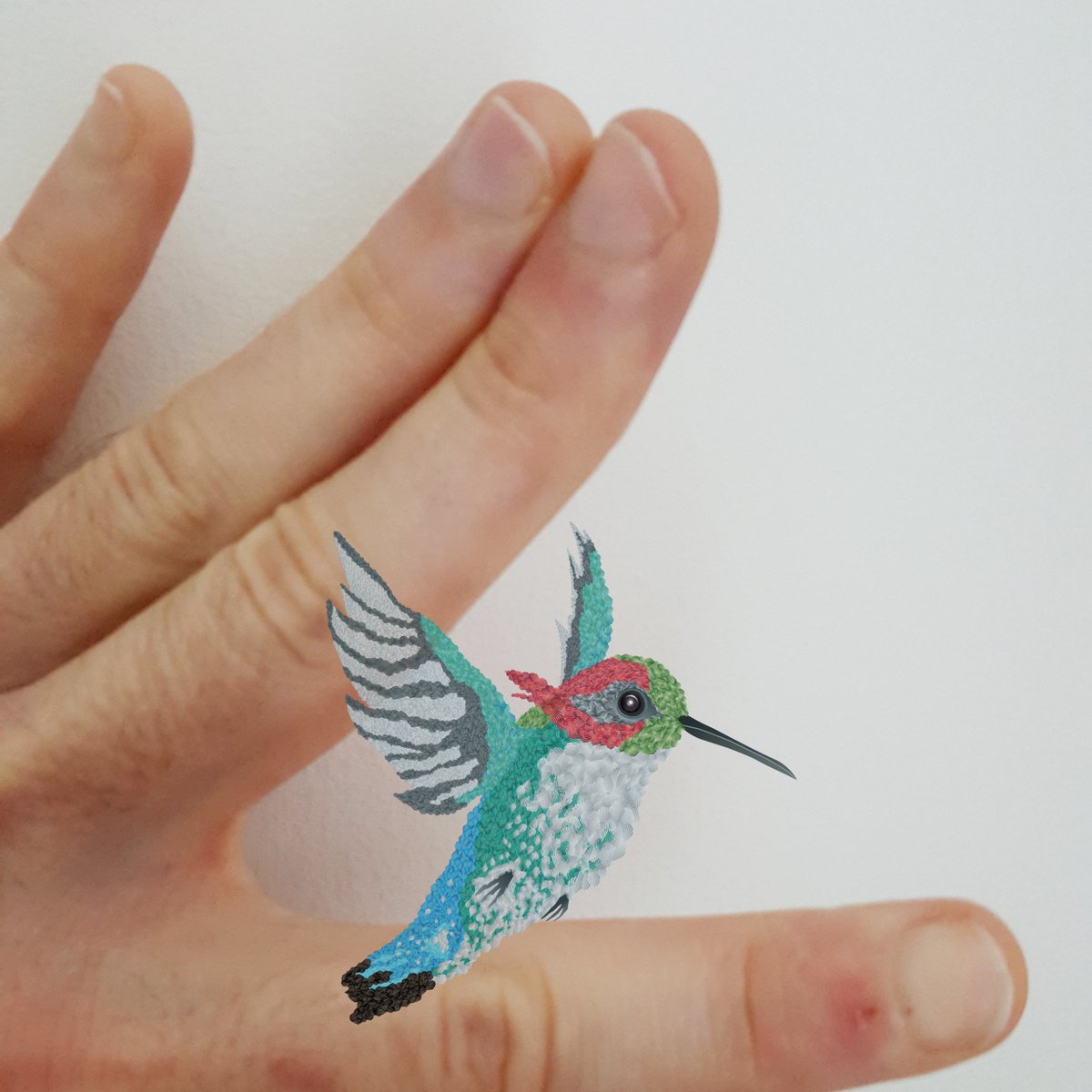 In case you wondered why the Bee Hummingbird is regarded as the smallest bird in the world [here's a rough life scale of my own to my hand]! #hummingbird #birds #animalart #animallovers #design #artistsontwitter