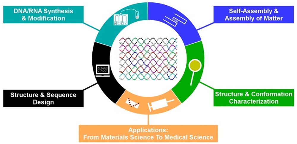 nanotrac's tweet photo. ACS Nano [ASAP] Near-Atomic Fabrication with Nucleic Acids: ACS NanoDOI: 10.1021/acsnano.9b09163 https://t.co/cVrfHDhLLw Via @acsnano #ACSNano #Nanoscience #Nanotechnology #Chemistry #SelfAssembledStructures #SimulationOfNanostructures #Physics https://t.co/w6idFxJ2mE