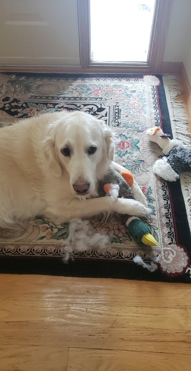 day 194. she killed a duck