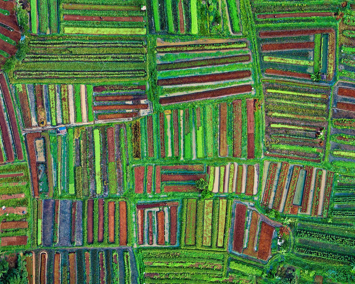 FStopLabs's tweet photo. Textures and patterns from the skies. 💚

#drone #dji #dronephotography #drones #droneoftheday #dronegear #droneporn #dronelife #dronefly #aerialphotography #uav #dronephoto #djiglobal #fly #dronesdaily #fstoplabs https://t.co/FHBQxExHyM