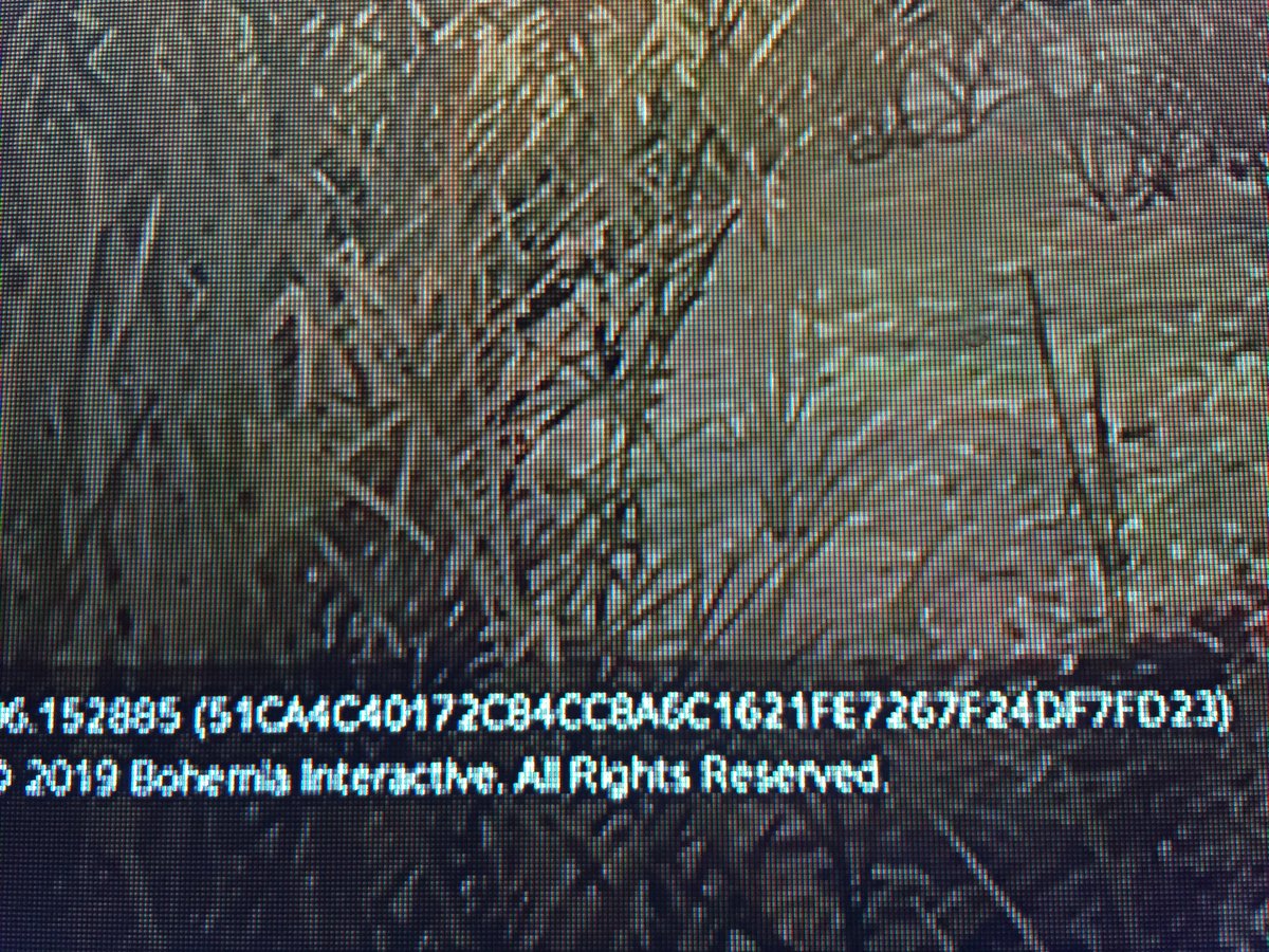 Mk1Liam's tweet photo. @DayZ can you please reset my code I can’t log in to any server please it’s  been like this for a week https://t.co/KwttT8ogLG