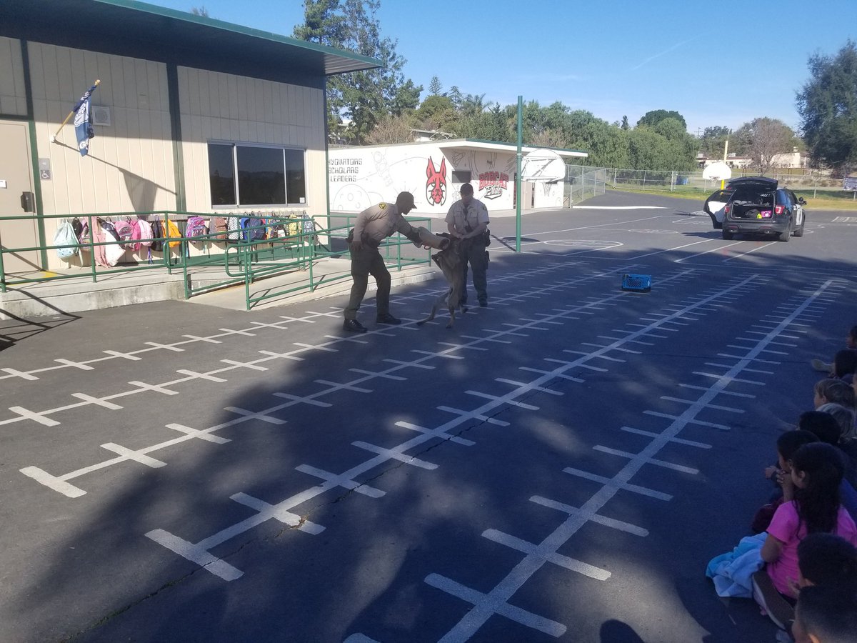 Fallbrook's Deputy Ramirez and Deputy Lee share their K9,  Deputy Dan, with TK and kinder students. Pretty amazing! <a href="/FallbrookStem/">Fallbrook STEM Academy</a>