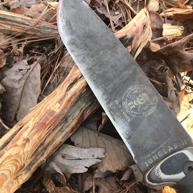 Fatwood harvesting with my @eseeknives junglas 2 today 
#survival #bushcraft #camping #survive #justinvititoe #fitness #hiking #adventure #nature  #wildernesssurvival #freedom #training #outside #survivalkit  #sniper #aloneshow  #practicalsurvivalFatwood harvesting with my @…