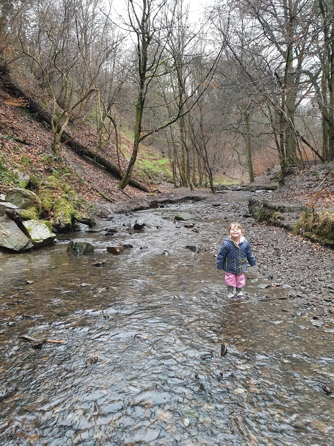 papapeteblog's tweet photo. We planted our first #geocaching trail this weekend in Judy Woods, Bradford. Read all about it over at https://t.co/O9If5idGEG #outdoor #geocache #treasurehunt #growingup #bradford https://t.co/vxYf7Lpzt6