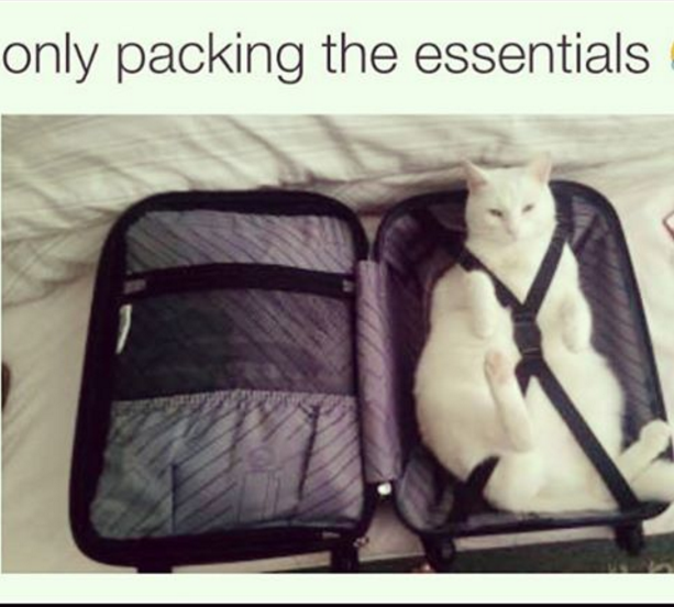 My solution to the Knapsack Problem.