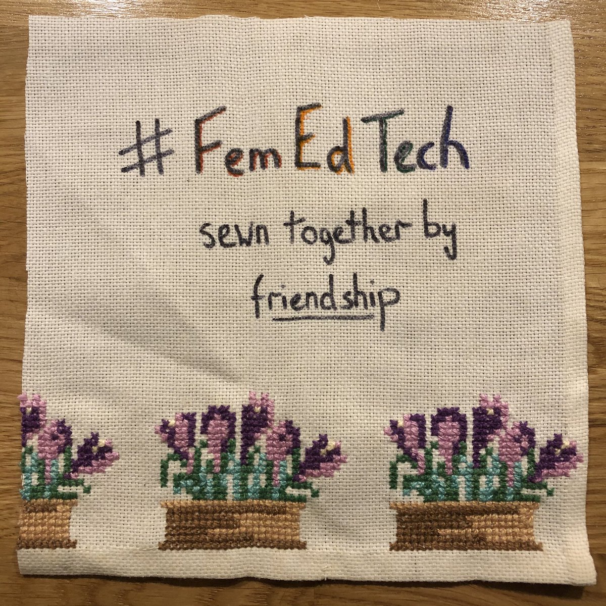 allisonl's tweet image. To #femedtech....