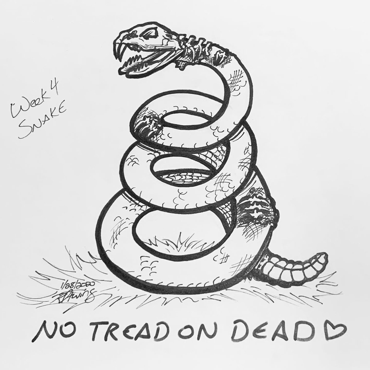 RiftwingDesigns's tweet photo. This week for #inktober52 its #drawitagain from last #Inktober day 20 - My take on the #Gadsdenflag and #nosteponsnek! 
#inktober2020 #inktoberweek4 #inktober52snake #traditionalart #vultureculture #snakeskeleton #snakeskull #notreadondead #dontTreadondead #donttreadonme https://t.co/oeVgYOcXE7