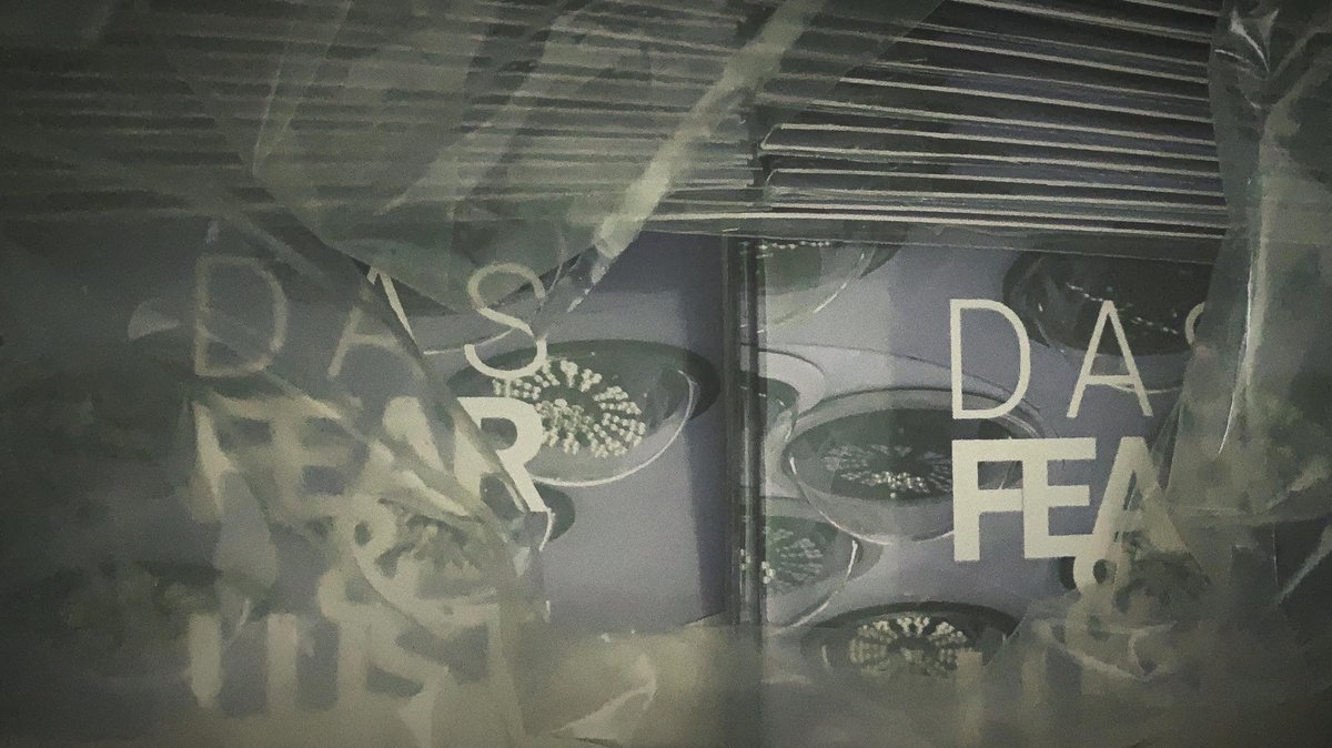 “FEAR &amp; LUST” is the first new album from #DirtAndSurgery and it will be available soon at toroide.xyz . Only 50 copies. #electronic #darkelectro #experimental #noisepop #darktechno #newelectronics