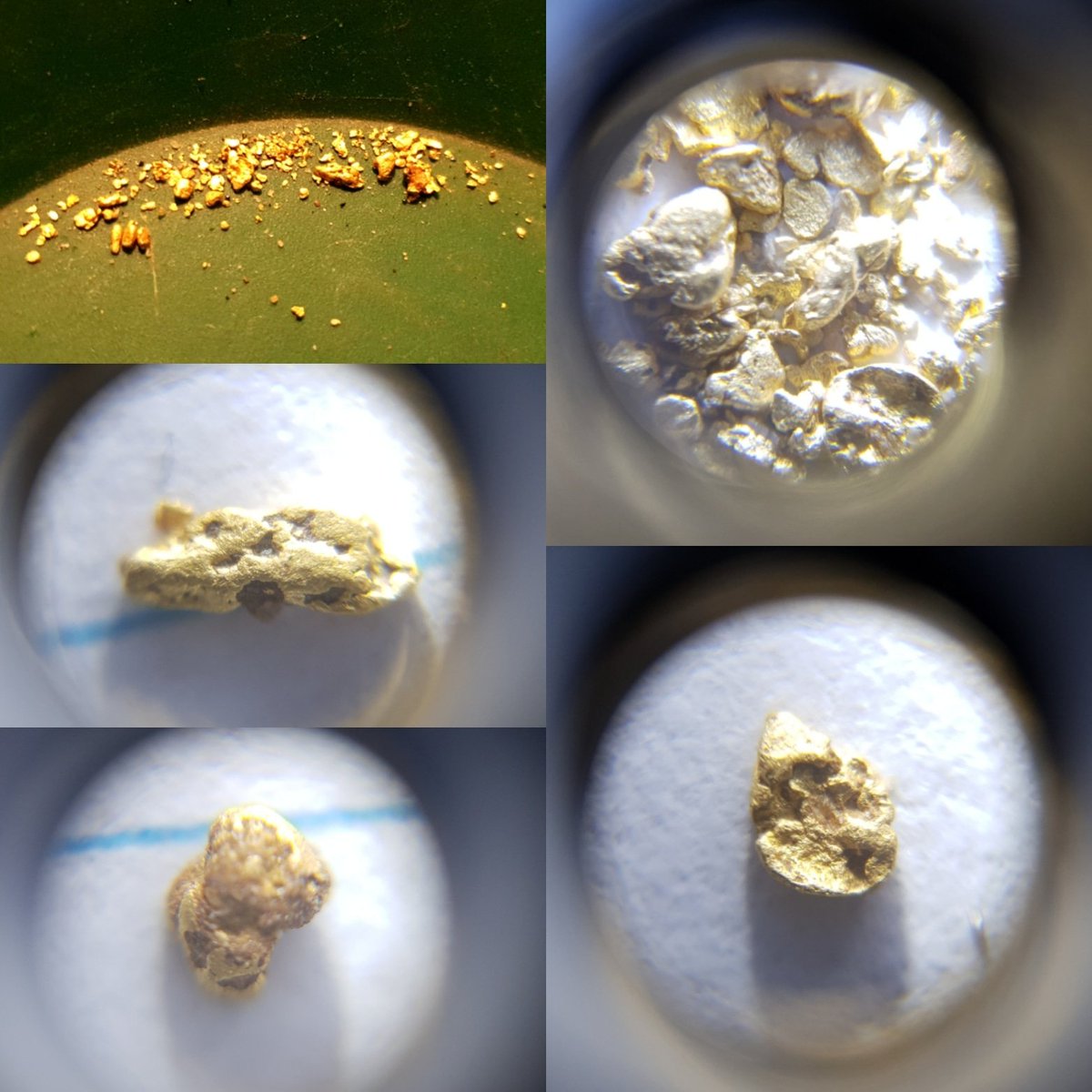 dunkyrav3n's tweet photo. We went #crevicing again and the results were pretty tasty. Some nice #gold #pickers for our efforts.
The close up pics are with a magnification lens. One day it won't be a lens and they will be big old nuggy #nuggets. @YouTube #GoldRush #aussiegold https://t.co/fZARrk2ISD