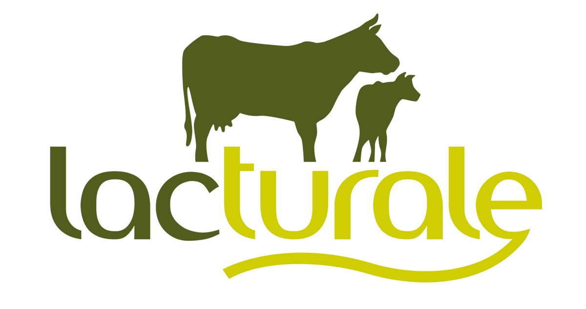 Rocopolis's tweet photo. Suma y sigue! 📈 Las colaboraciones siguen creciendo y nosotros encantados! Se une a la Liga Popular @Leche_Lacturale #ligapopular #ligarocopolis #diverticompe #lacturale #lactuescalada #escalareslaleche #rocopolis #rokopote #juevintxo #pintxopote #competicion #deportenavarro https://t.co/mT1hZP2wzf