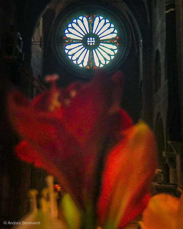 bengodi's tweet photo. #duomodimodena #unescoworldheritagesite
#ShotWithHalide #enlightapp #vsco #olloclip #enlightquickshot #lightroommobile #mocu #modenaterradimotori #igmodena #visitmodena #modenaterradisapori #modena_dintorni #iphone #iphonography #iphoneps #ShotOniPhone … https://t.co/FKG4vioVOR https://t.co/cShP0aVf28