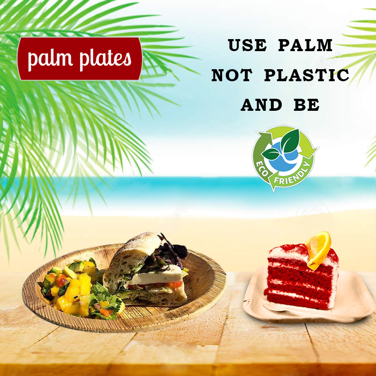 Replace plastic plates with these elegant looking Eco friendly biodegradable plates and add glamour to any event with these beautiful areca/ palm plates.
Call now for Order 8291626221
Visit: palmplatesindia.com

#compostable #disposables #ecochic #bakedgoodies #ecofriendly