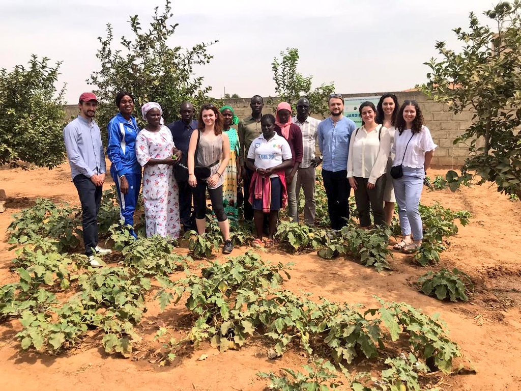endaenergylinks's tweet photo. Une délégation de jeunes stagiaires venus de Bruxelles s'est rendue sur la petite côte pour une visite de quelques activités de notre programme de bonne gouvernance écologique. Mis en œuvre par #EndaEnergie et @jvesenegal, ce programme est financé par l'@UEauSenegal.
#MbalitNaSet https://t.co/EQAYCnebyi