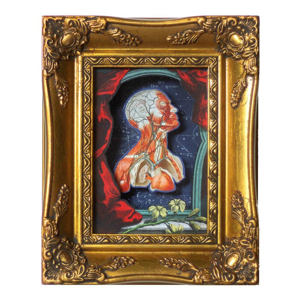 Gavin Jay @gavinjay creates 3D shadow-box collages using Victorian images to deliver surreal scenes, reminiscent of glimpsed, secret performances.

A recurring motif is the stage curtain: perhaps fitting for the bassist in @JJandtheRM!

More here: buff.ly/36TQ69v