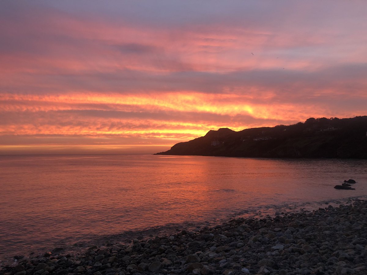 Hidden_Howth's tweet photo. Missy Admiring the sunrise in #howth, whilst wondering why we are up so early ๐ ๐ค ๐ด #sleepdog #dublin #discoverdublin #visitdublin #visithowth #lovefingal #sunrise #redsky @howthismagic https://t.co/RZ5IKaIH2o