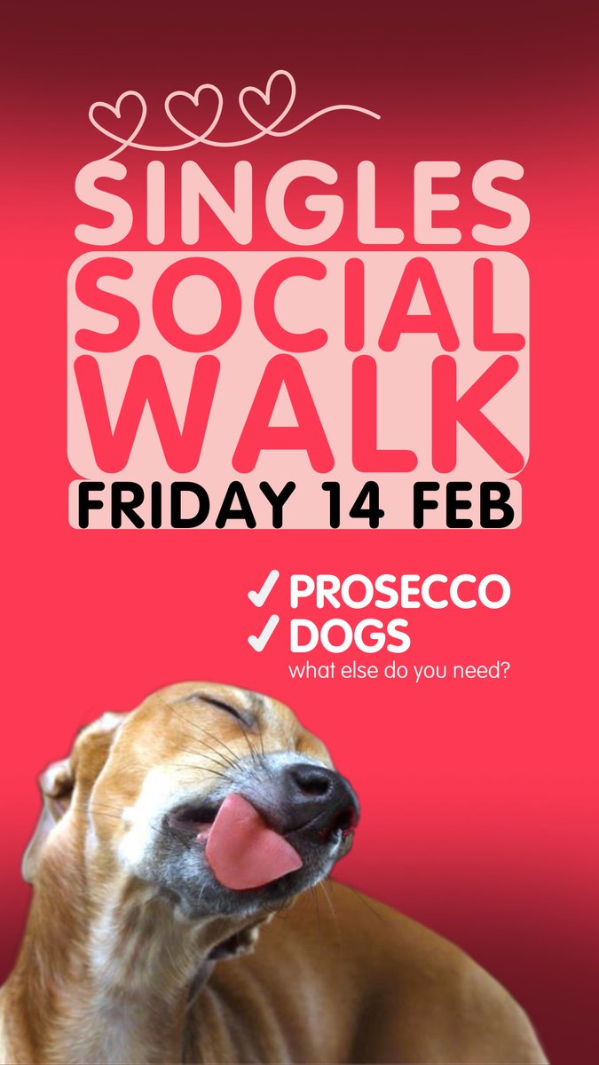 k9_anytime's tweet photo. Join fellow dog parents for an off lead social play session at K9 Anytime this Valentine’s Day! 🐾💕🥂 https://t.co/FOoFtvu5AR