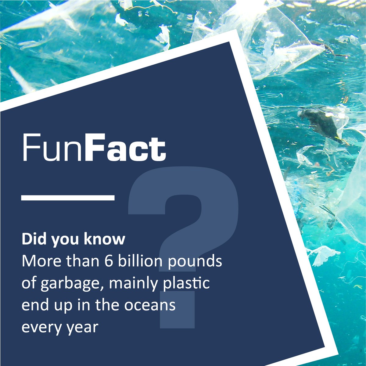 cocarb_ac's tweet photo. Plastic pollution is a threat to marine life. We have seen the news about marine life-consuming plastics and dying because of it.

#plasticpollution #oceanpollution #waterpollution #stoppollution #stopplasticpollution #marinepollution #environmentalpollution #CocarbSolution https://t.co/rvYAOEjsJh