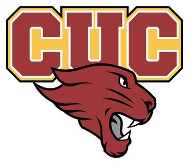 jyoung17_'s tweet photo. All glory to God! Proud to announce I am committed to Concordia University Chicago!! @CoachWatkinsCUC @coachaubry @CUCFBFamily #gocougars https://t.co/myddCzApK0