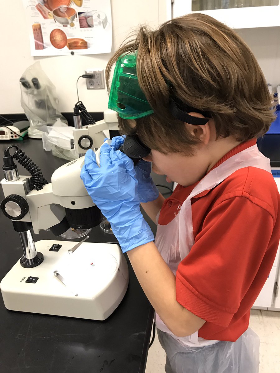 Ms. Roman's Biology tweet media