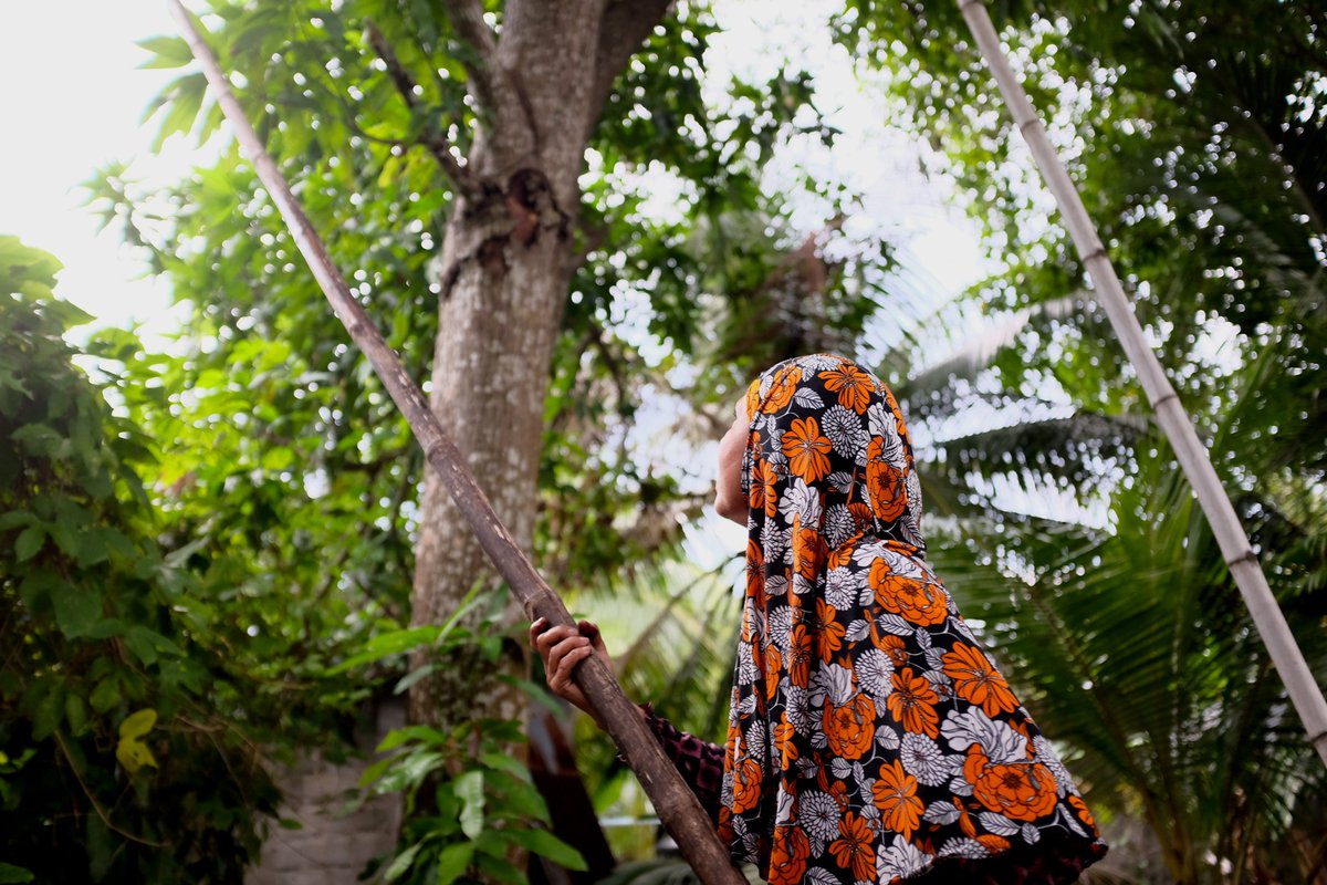 Photo Credits: Hussain Jauson, UNDP Maldives