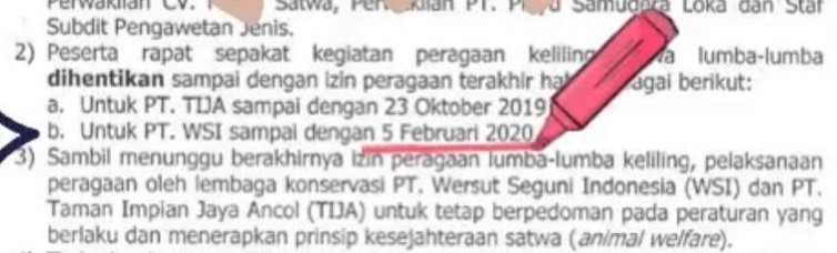 rifqiajir's tweet photo. Mulai hari ini, 5 februari 2020, sirkus lumba harus stop. #freedomfordolphins #stopsirkuslumba https://t.co/ZxxSAa6lQa