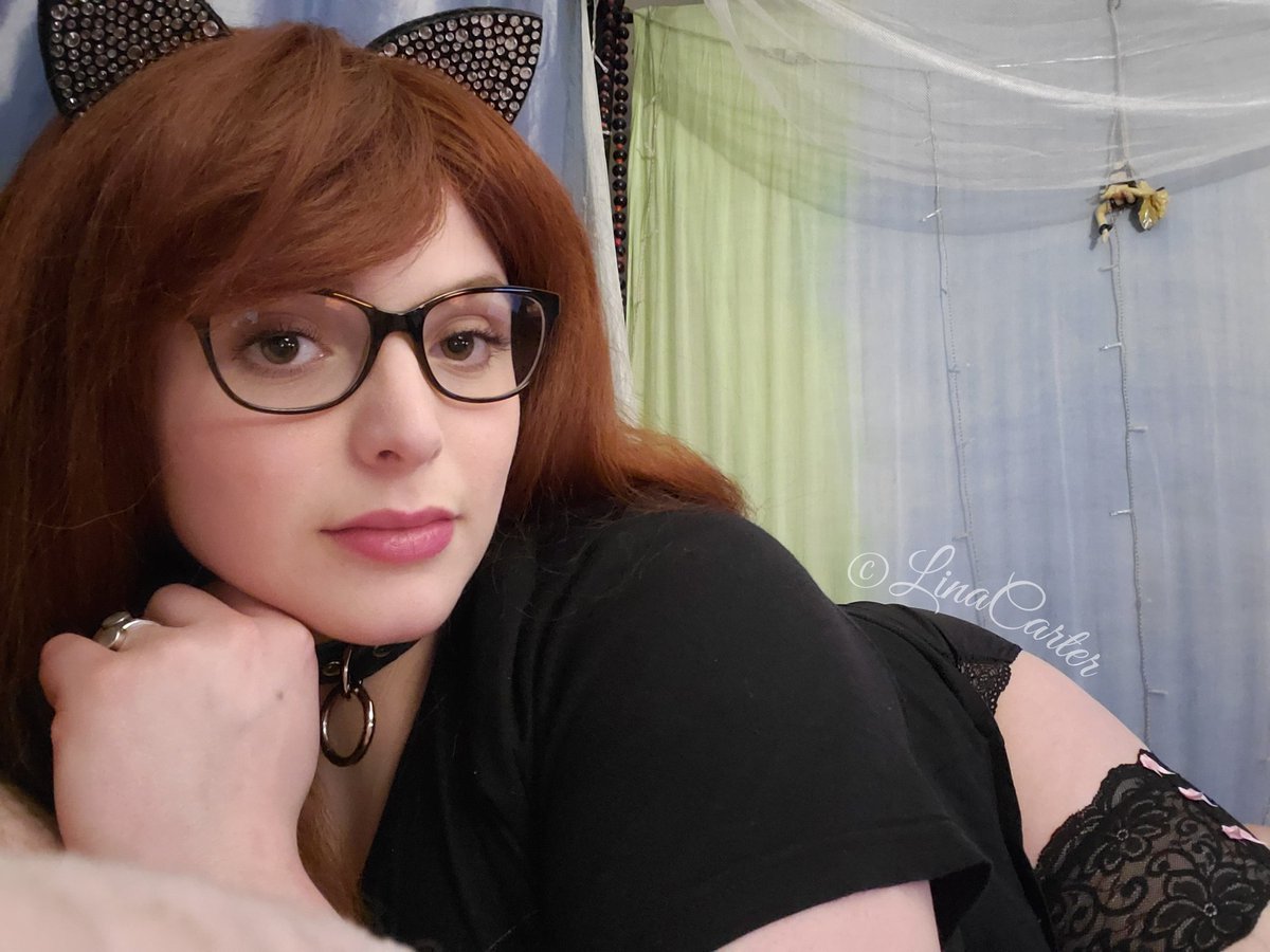 LadyLinaCarter's tweet photo. Come hang with me #onmfc! #MFC #MyFreeCams #NaughtyPussycat #Meow
https://t.co/7XaLGIdoRz https://t.co/OVFxyL35gs