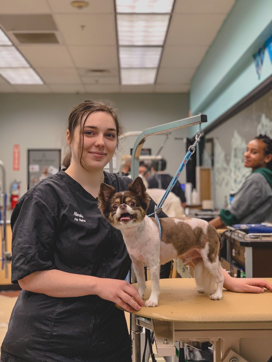 We had a great first day grooming in academy! 

What a great picture for #TongueOutTuesday! 💈🐕

#fortheloveofpets #lifeatpetsmart #petsmartgrooming #petsmartgroomingacademy