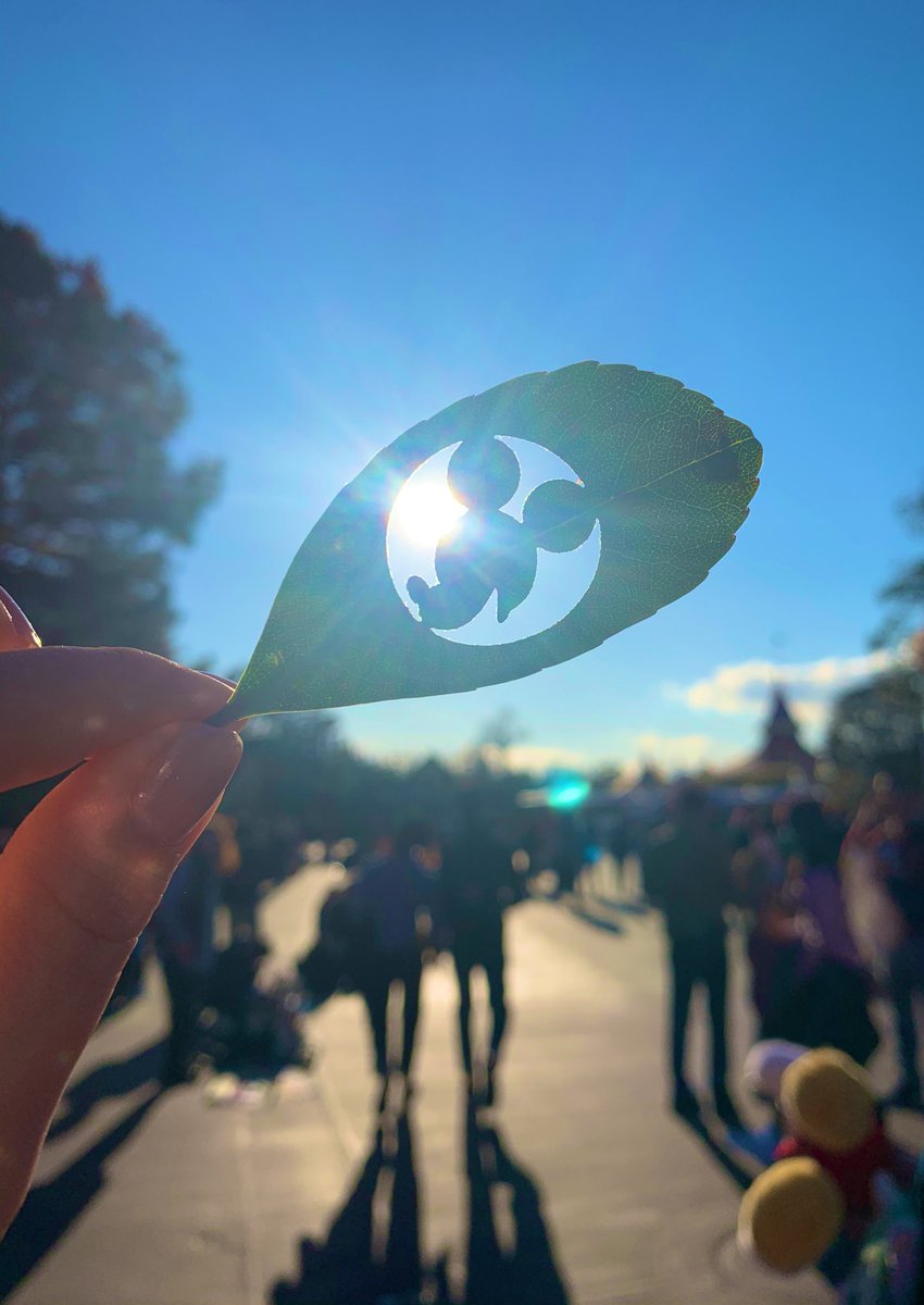 Rina この間ディズニーに行った時 耳にお誕生日シールをつけていたんだけど トムソーヤ島で 昔パパが葉っぱの隠れミッキーを見つけたことを話して 探しに行ってたの イカダの船長さん に聞いたけどはぐらかされて 降りる時に おねぇさん 背中に何