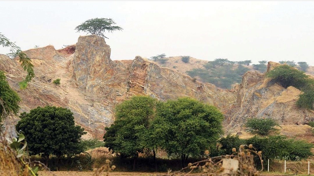 pallaviti's tweet photo. Aravallis have faced issues ranging from illegal mining activities, construction,deforestation,depleting groundwater zone, land grabbing and resource exploitation. Now it is crying for help #AravalliBachao #WithdrawPLPAamendmentbill @mlkhattar @PMOIndia @cmohry @Dchautala https://t.co/A5LbnV99EB