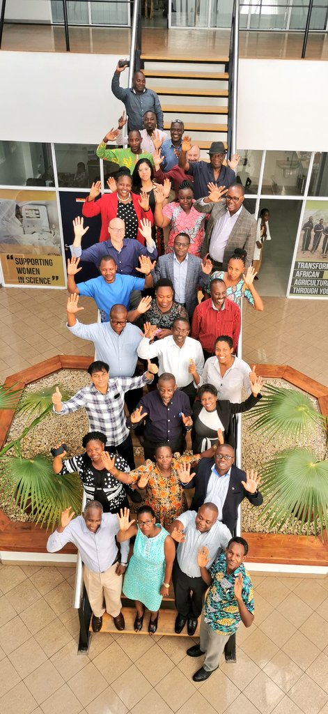 🇹🇿🌿 Hands in the Air 🌿🇹🇿

Let's have your hands in the air for #cassava seed systems

Joint BEST &amp; BASICS cassava project teams celebrate a hard day's brainstorming work on building commercial cassava seed systems in #Tanzania, #Nigeria &amp; elsewhere in Africa <a href="/IITA_CGIAR/">IITA</a> <a href="/l_lava/">Lava Kumar</a>